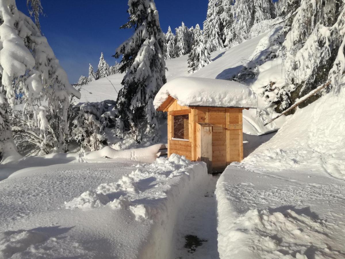 Apartment Himmelreichhof San Candido Luaran gambar