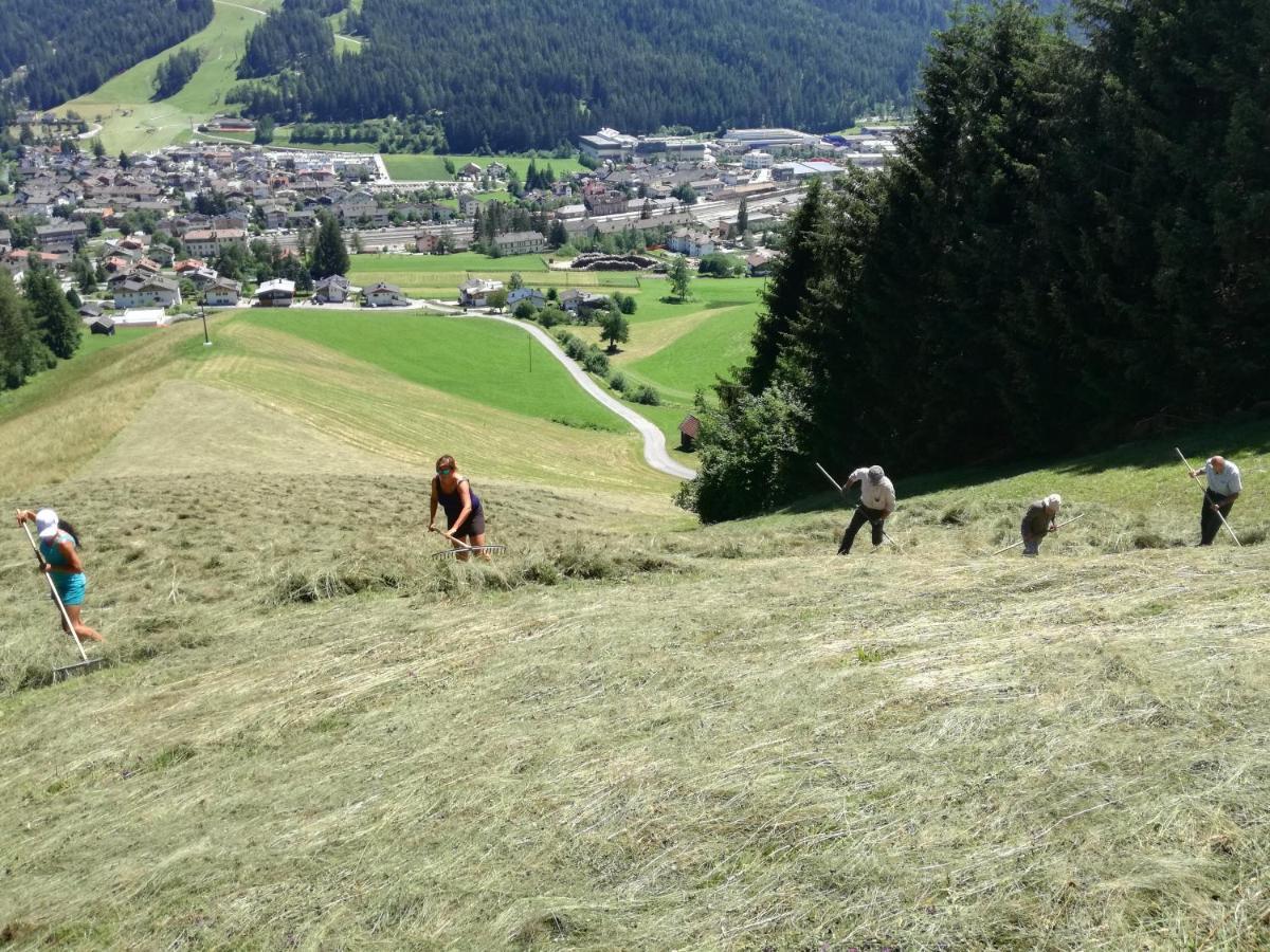 Apartment Himmelreichhof San Candido Luaran gambar